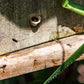 REMEMBRANCE: Amazon Expedition July 22