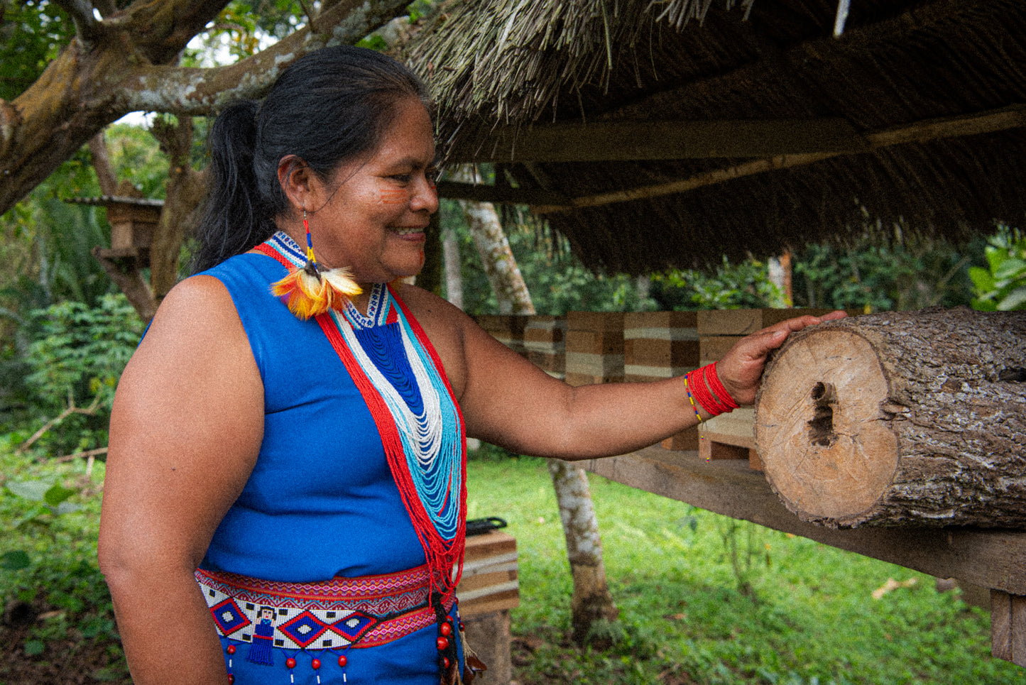 REMEMBRANCE: Amazon Expedition July 22