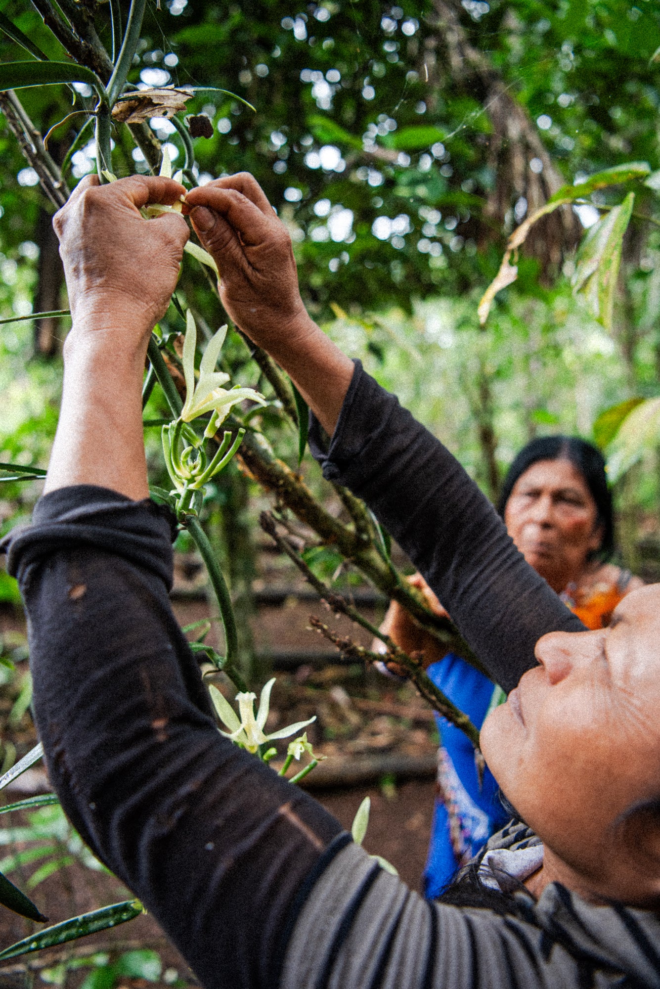 REMEMBRANCE: Amazon Expedition July 22