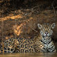 Jaguar cooling off in a muddy river