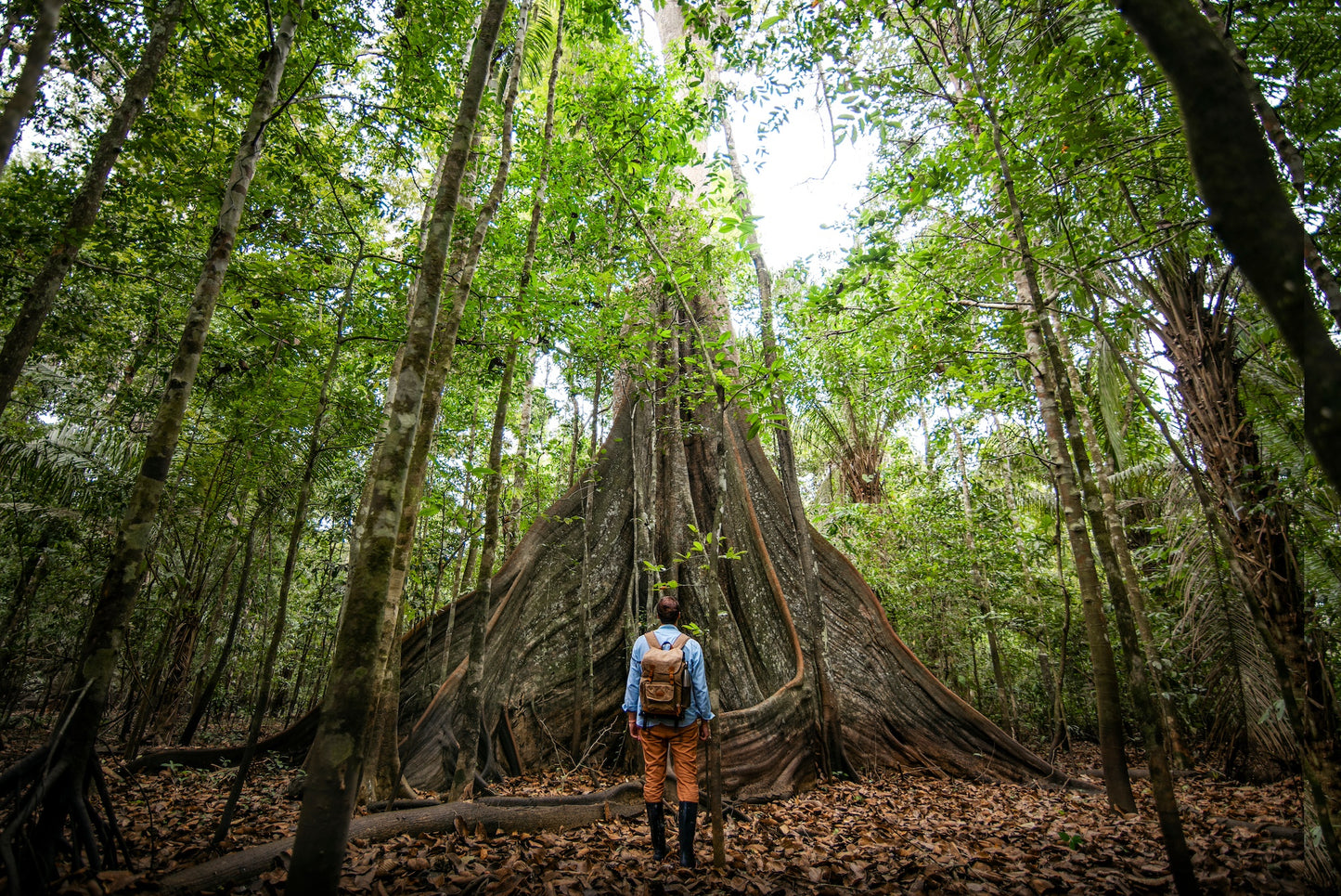 REMEMBRANCE: Amazon Expedition July 22