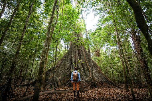 REMEMBRANCE: Amazon Expedition July 2026