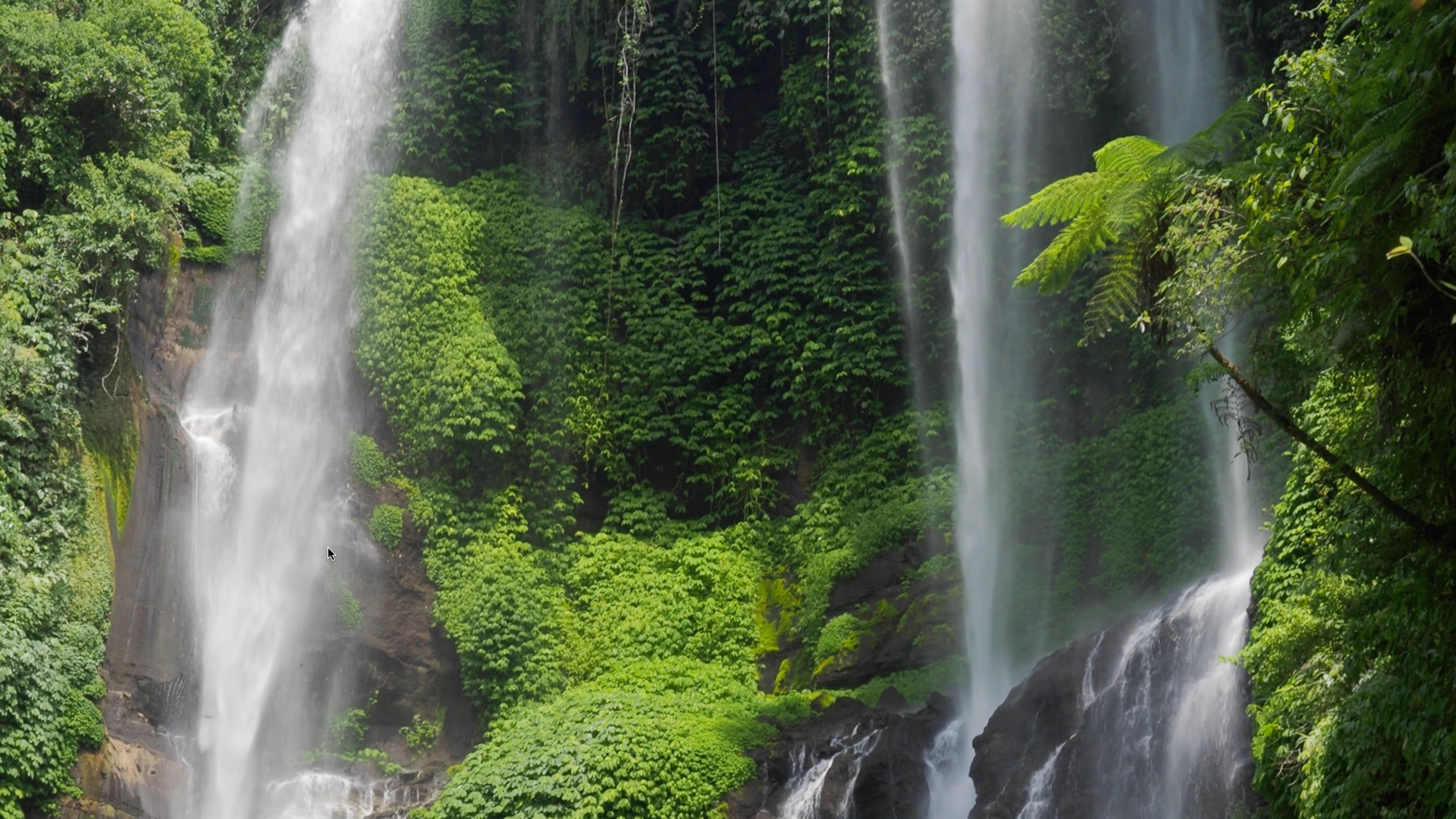 Load video: Video about a trip to the Andean Amazonian Basin to immerse in the culture, nature, and living intelligence of the plants.