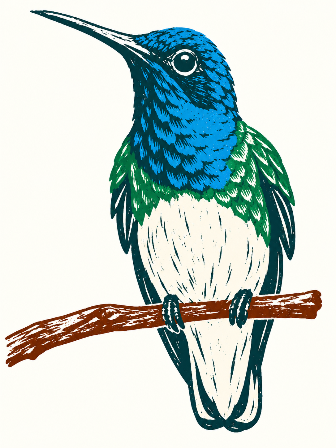 HUMMINGBIRD Immersion - November 2026