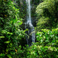 Amazon Rainforest Plant Medicine Retreats JULY 2026