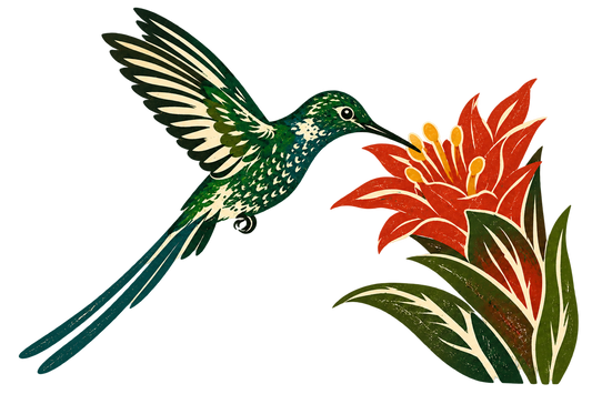 HUMMINGBIRD Immersion - November 2026